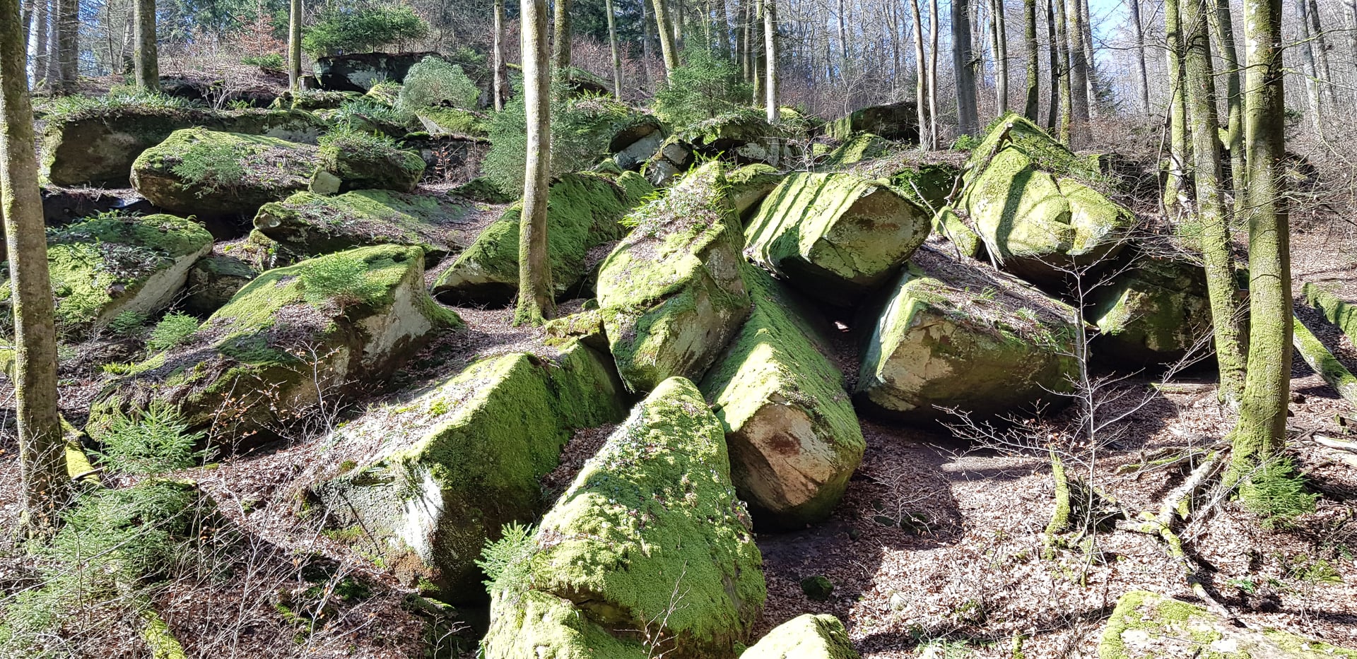 Imposante Felsformation im Pfälzerwald