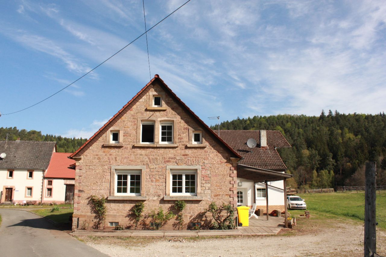 Lauberhof Panorama durch Bäume - Historisches Bauernhaus