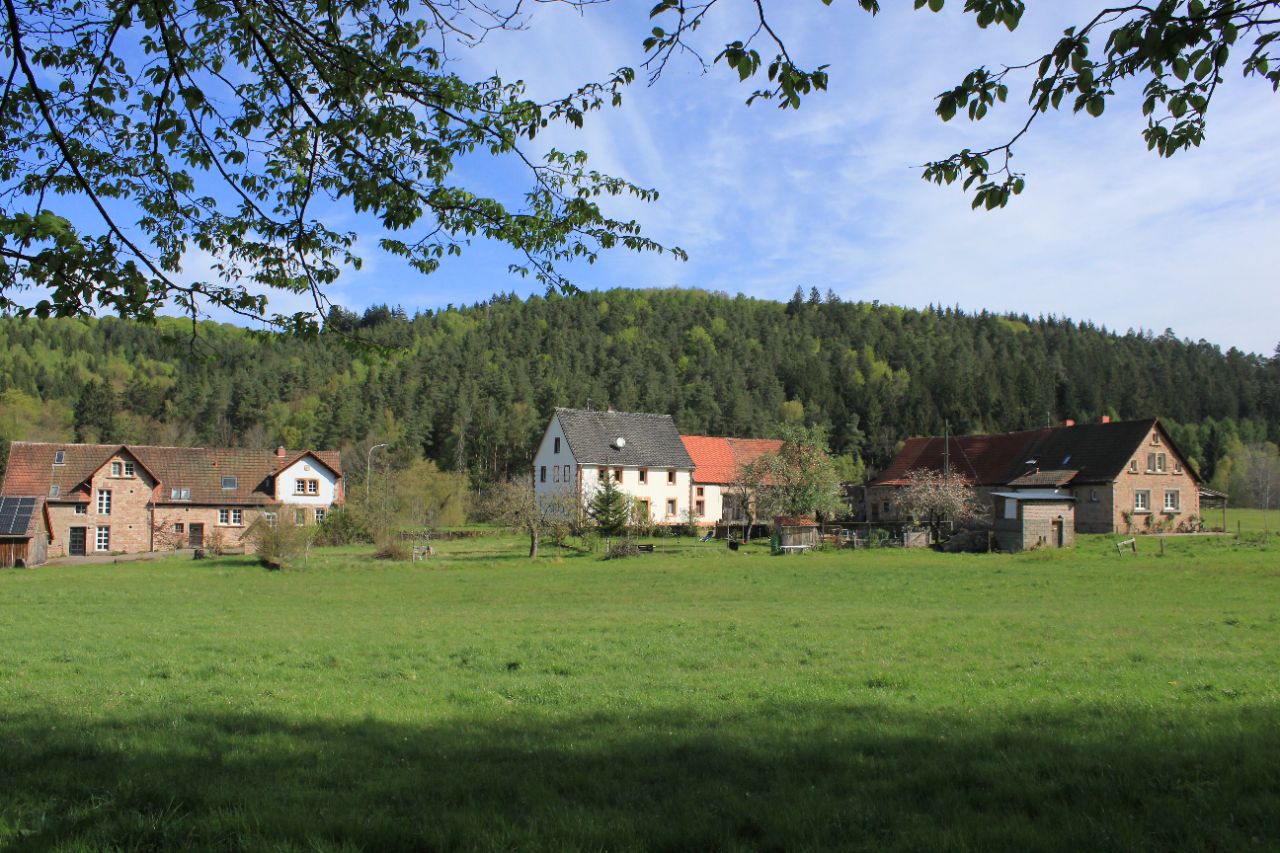 Lauberhof Panorama - Ferienhaus im Pfälzerwald