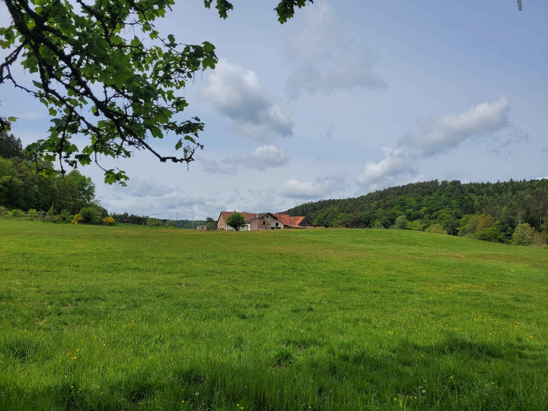 Lauberhof Außenansicht Panorama