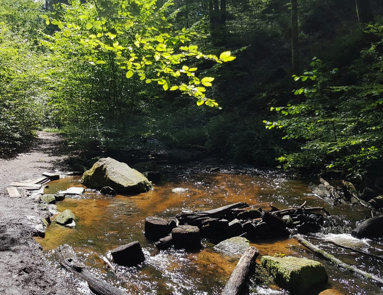 Naturidylle im Karlstal